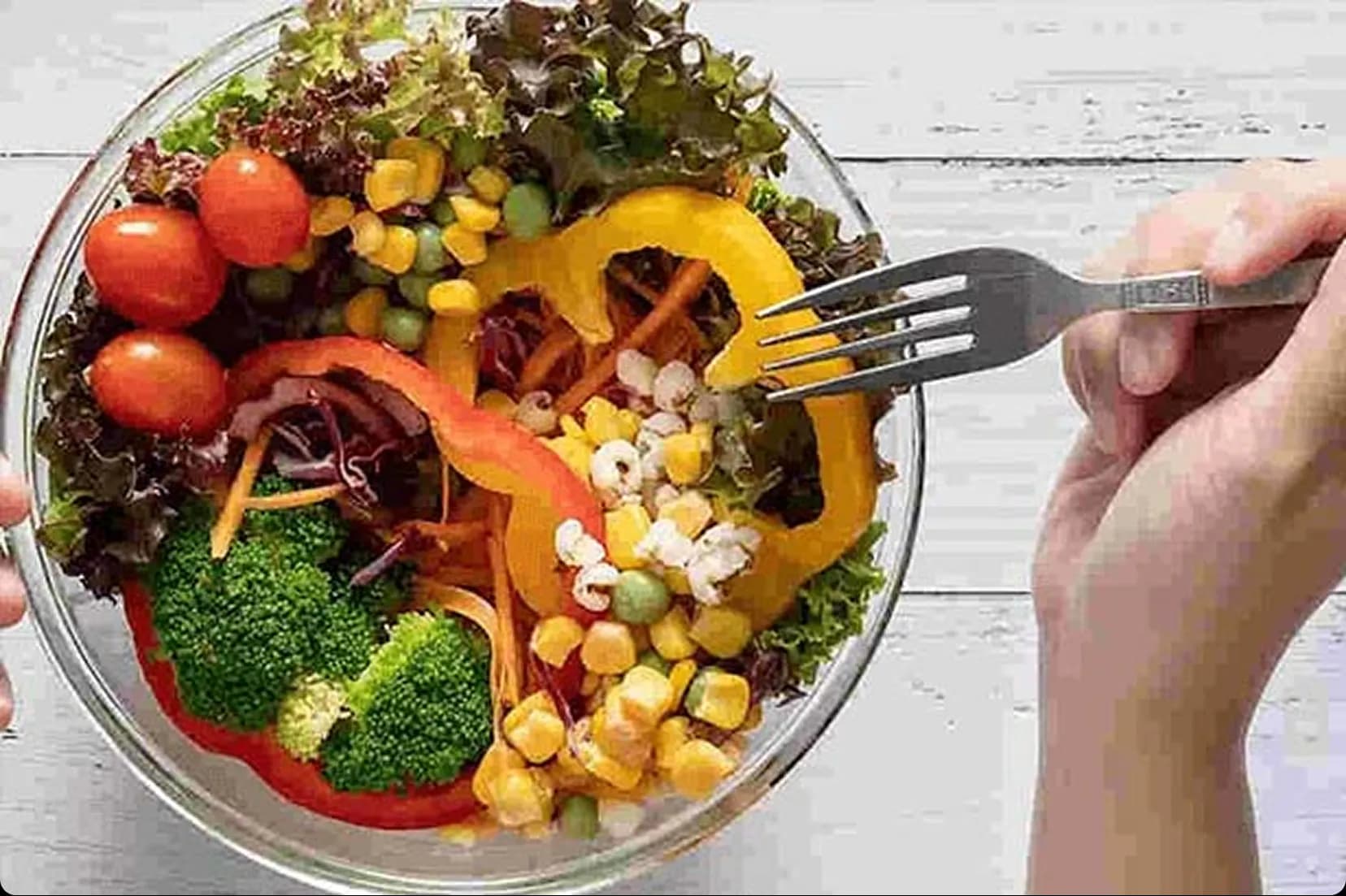 Fresh vegetable salad